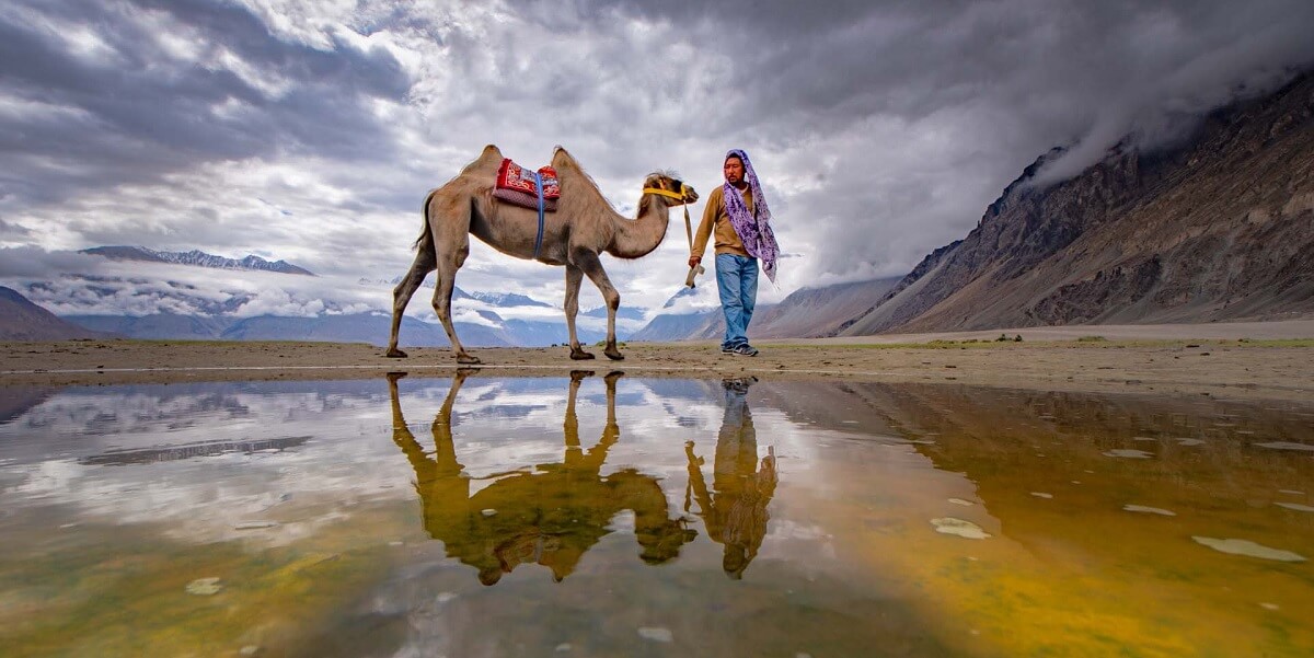 Practical 5–6 Day New Year Itinerary for Leh Ladakh 2026