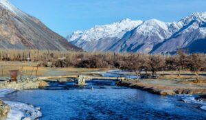 Traveler’s Guide: Karakoram (Nubra Shyok) Wildlife Sanctuary
