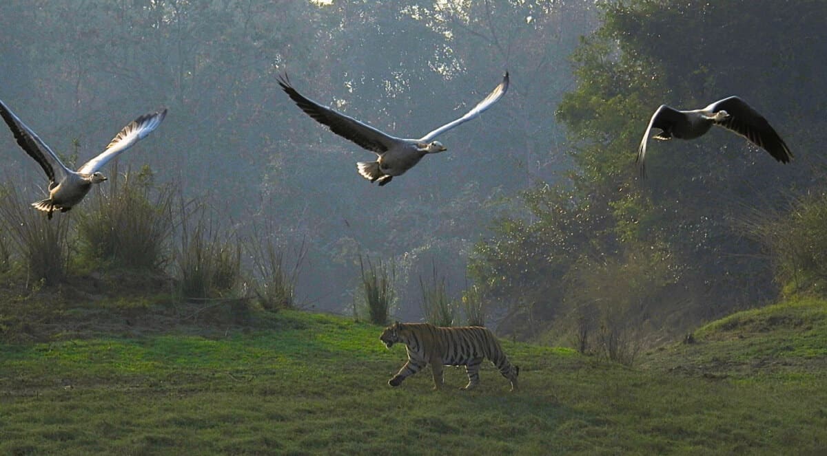 Where Is Satpura National Park?