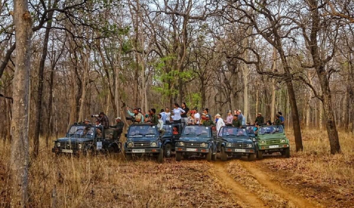 Satpura National Park, Madhya Pradesh