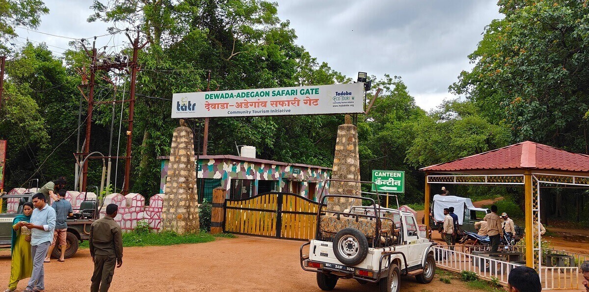 Which Entry Gate Should You Aim For?