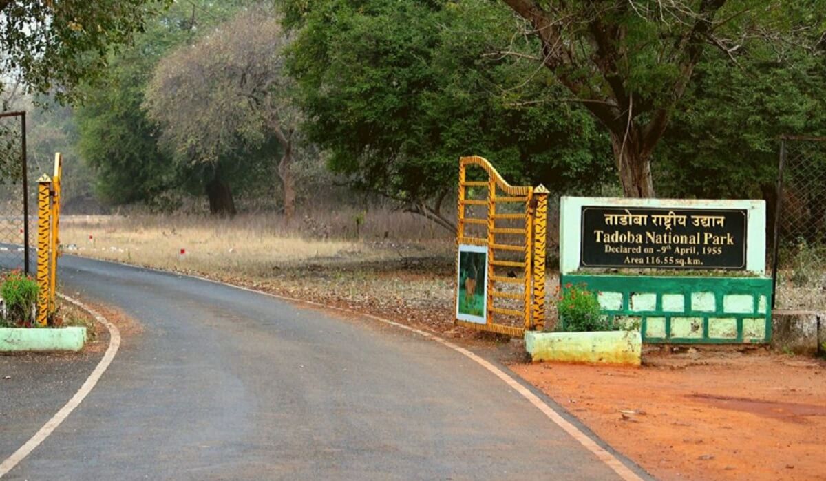 Agarzari Zone (Buffer)