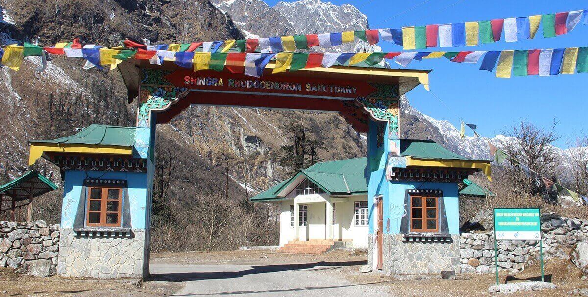 Why May is the Best Time to Visit Lachung