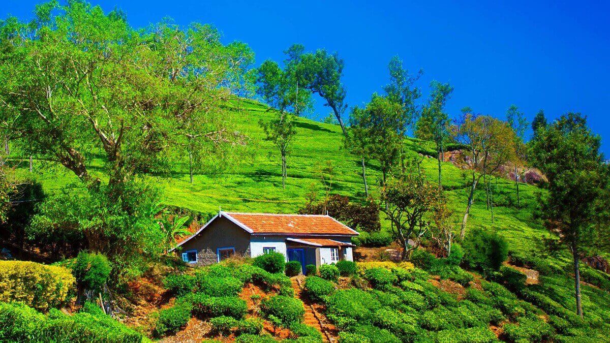April – The Heart of Coonoor’s Spring-Summer Season