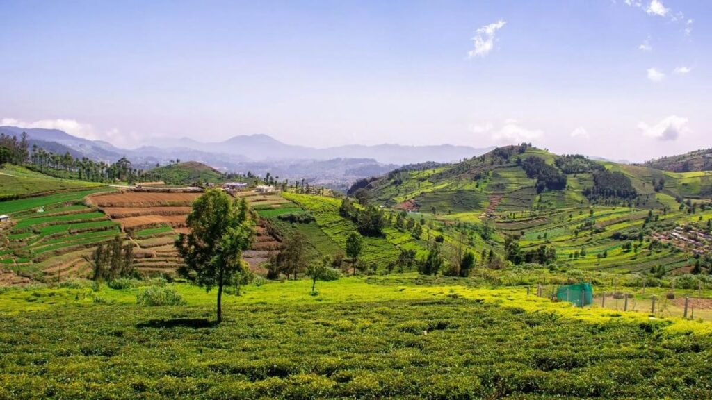 Day Trips & Hidden Trails Around Ooty