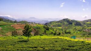 Day Trips & Hidden Trails Around Ooty