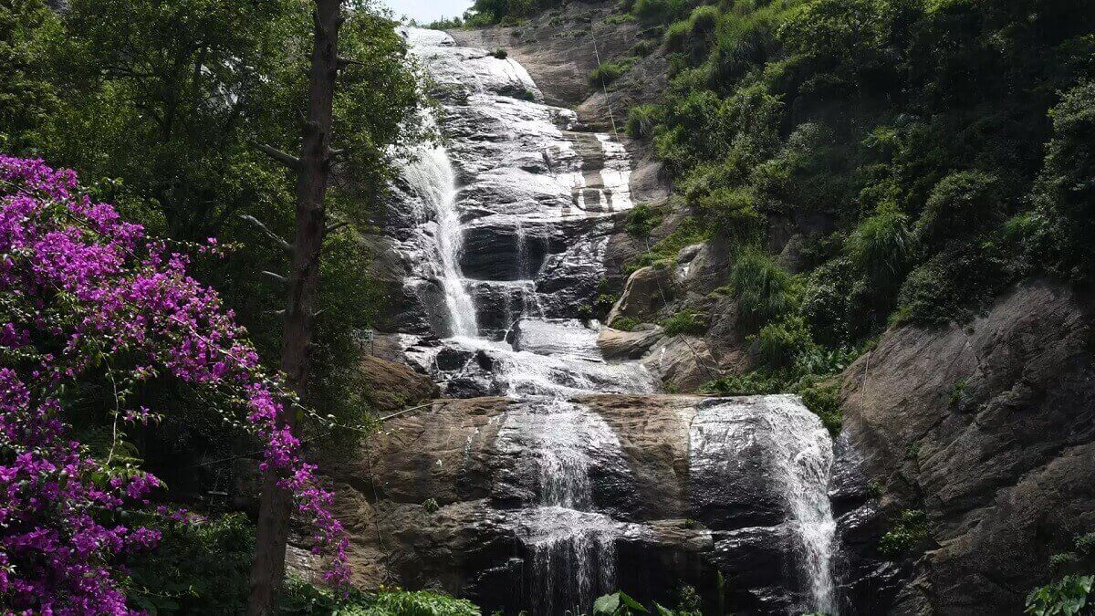 Secret Monsoon Waterfalls and Forest Reserves of Interior Tamil Nadu