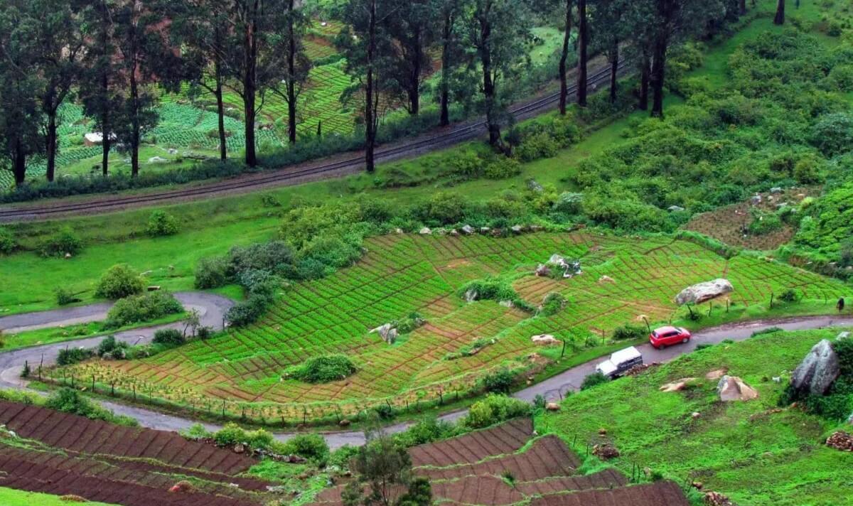 Traveling with Children in Ooty