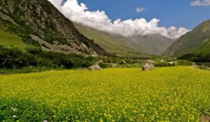 Popular Offbeat and Less Crowded Places to Visit in India in May