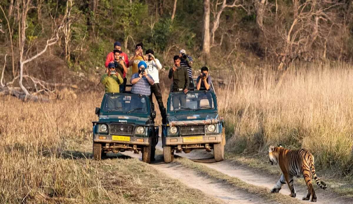 Safari Zones and When to Visit Each