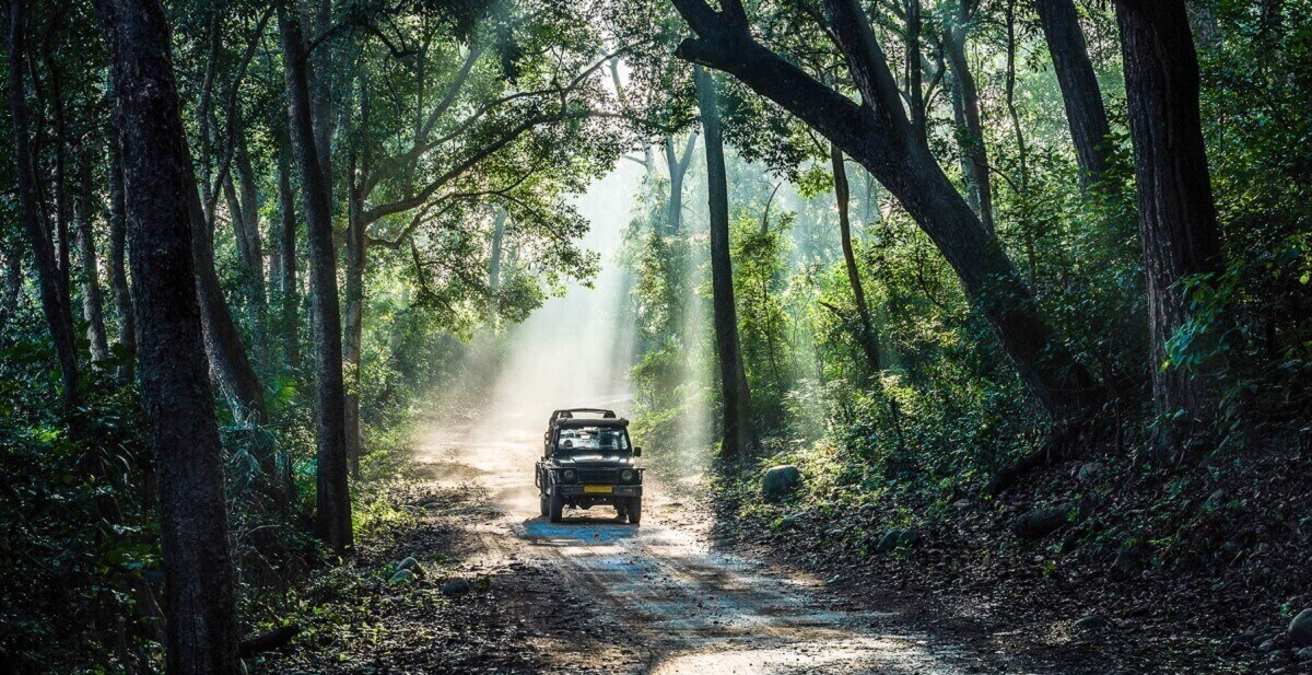 Jim Corbett Weather in May: What to Expect