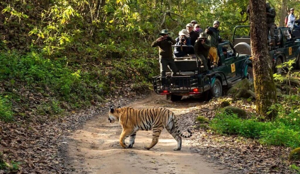 North India – Forests, Foothills, and Snow Valleys