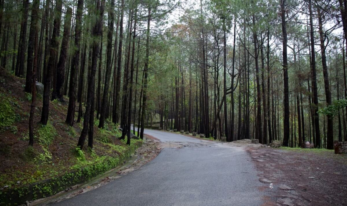 Suggested 7-Day December Road Trip Plan from Delhi to Uttarakhand
