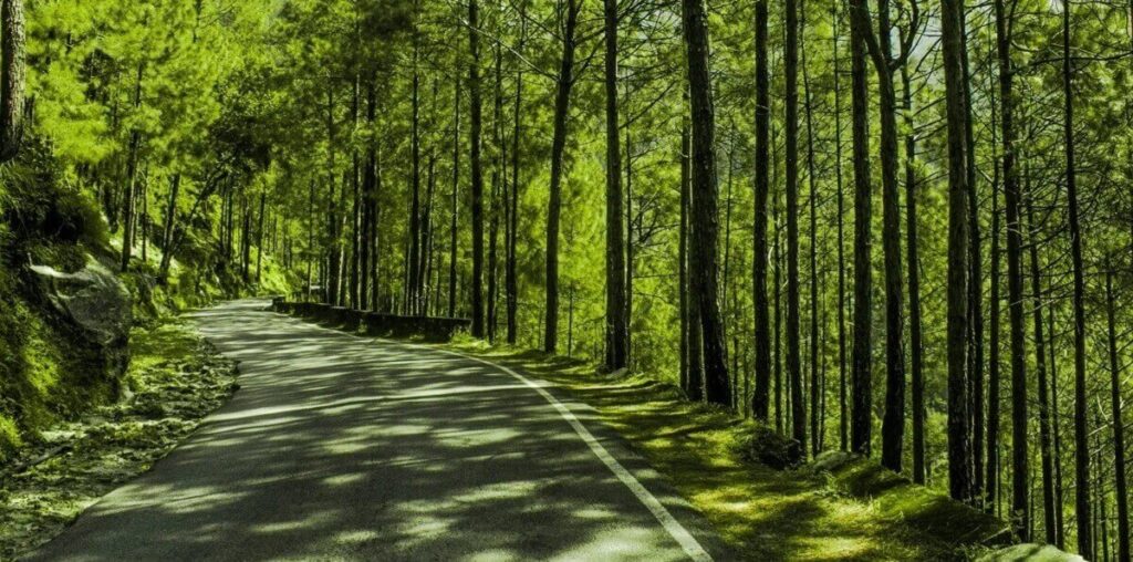 Best Places to Visit in Lansdowne in August