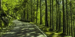 Best Places to Visit in Lansdowne in August