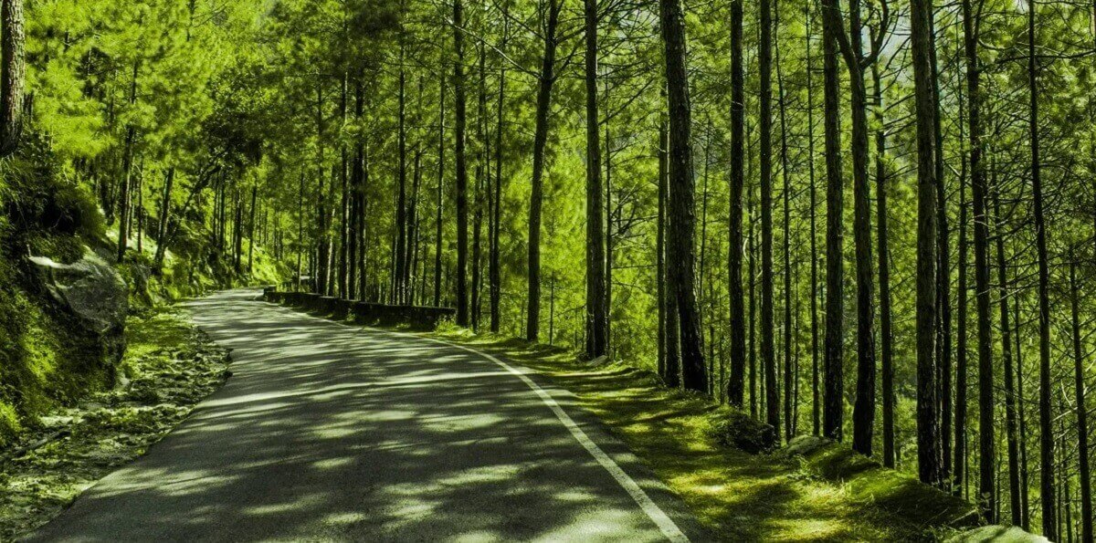 Romantic Getaways and Couple Travel