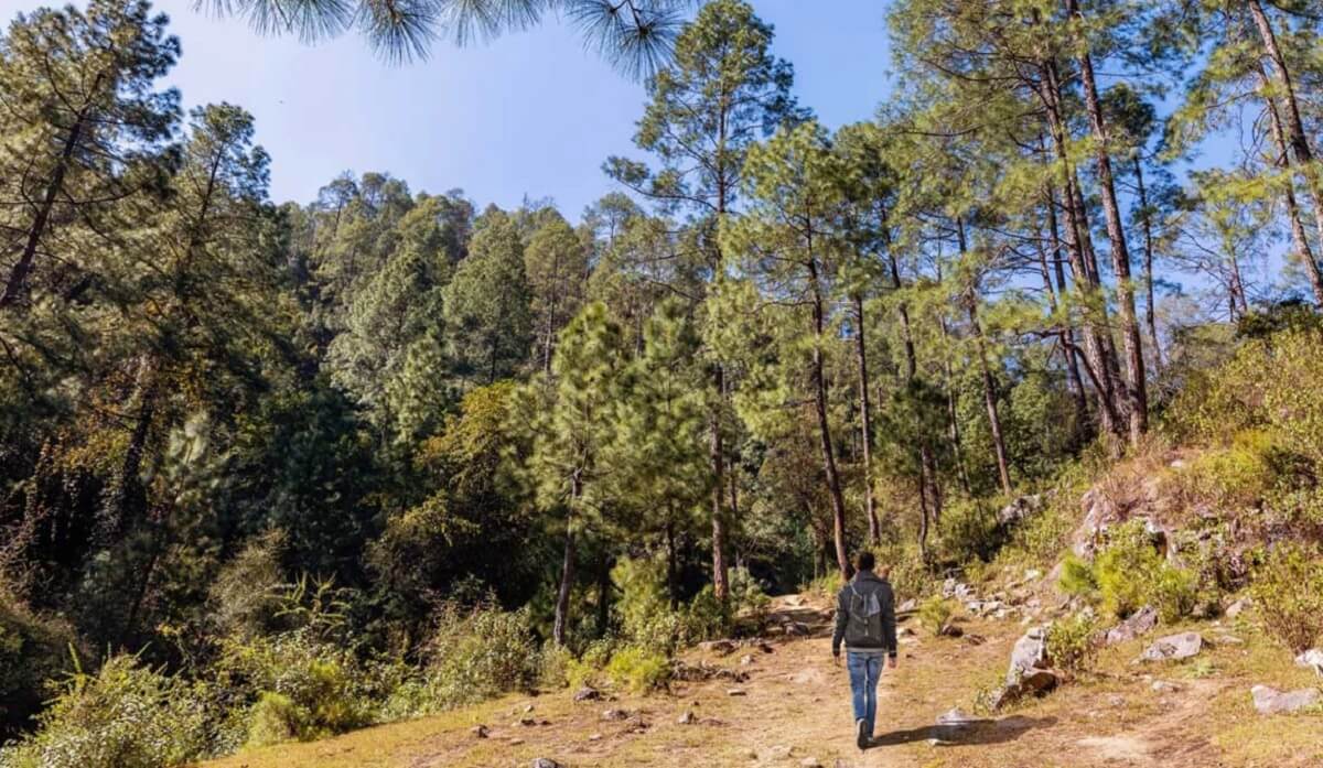 Accessibility and Travel Tips