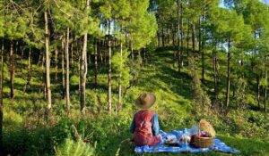 Planning Your Dehradun Adventure near Dehradun