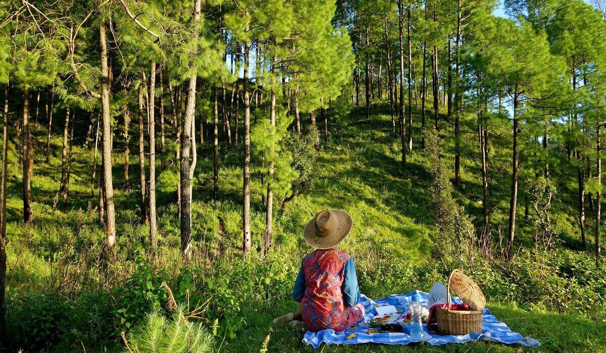 Planning Your Dehradun Adventure near Dehradun