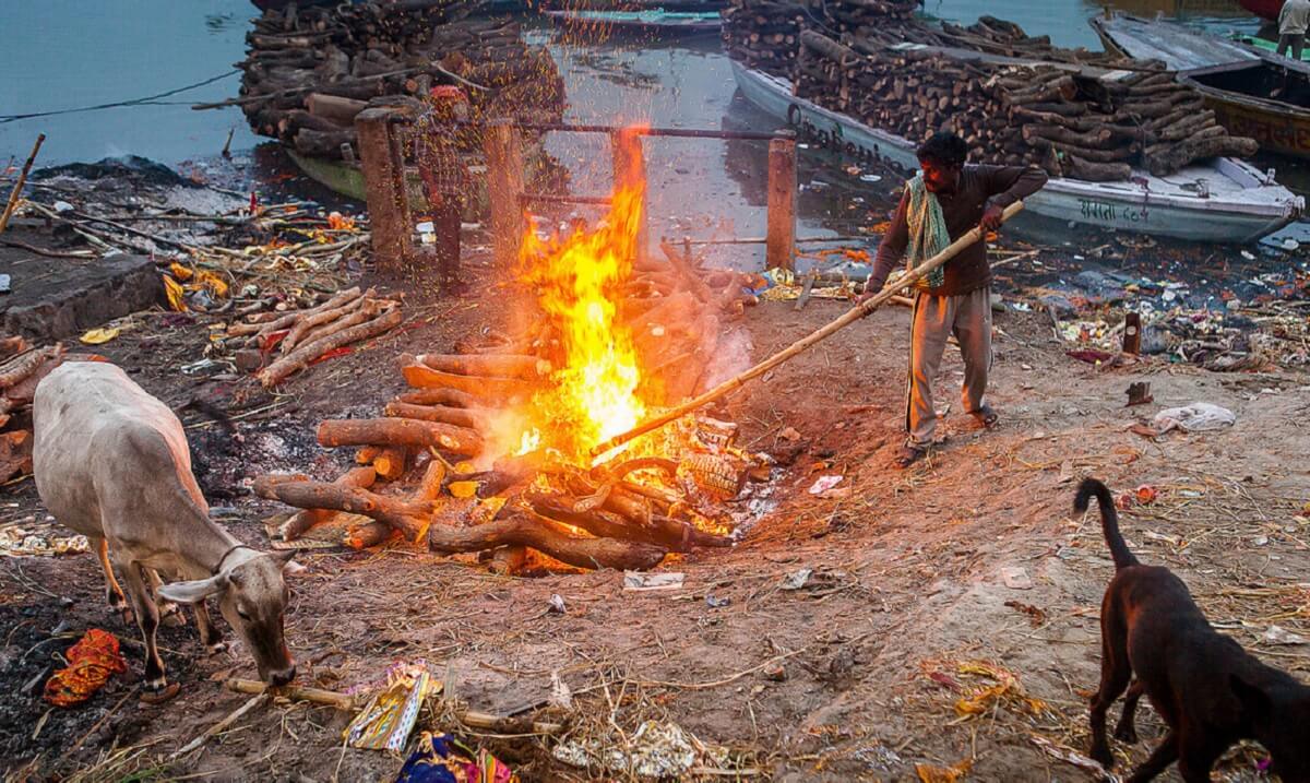 Summary Checklist – Do’s and Don’ts for Visitors