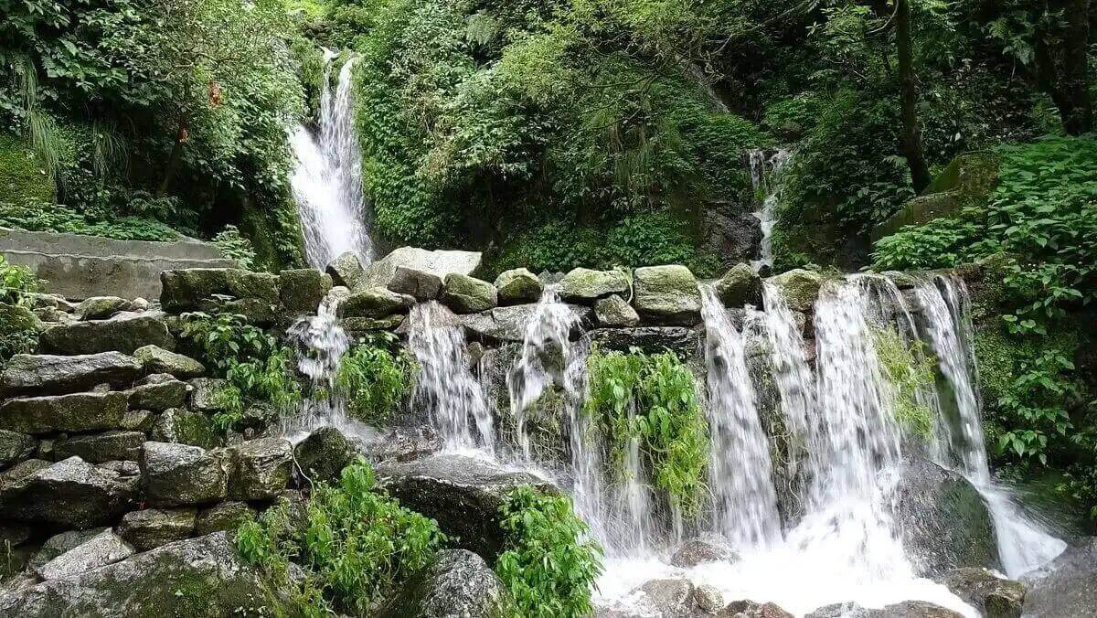 Kalimpong vs. Darjeeling