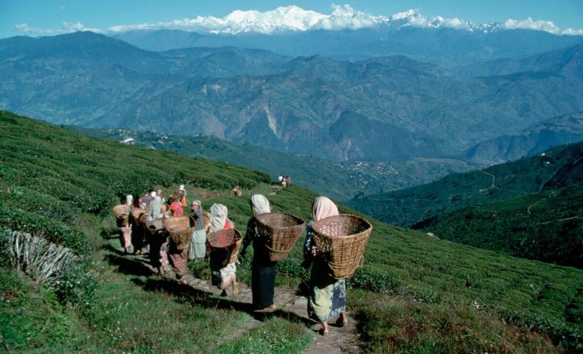 Kalimpong, West Bengal