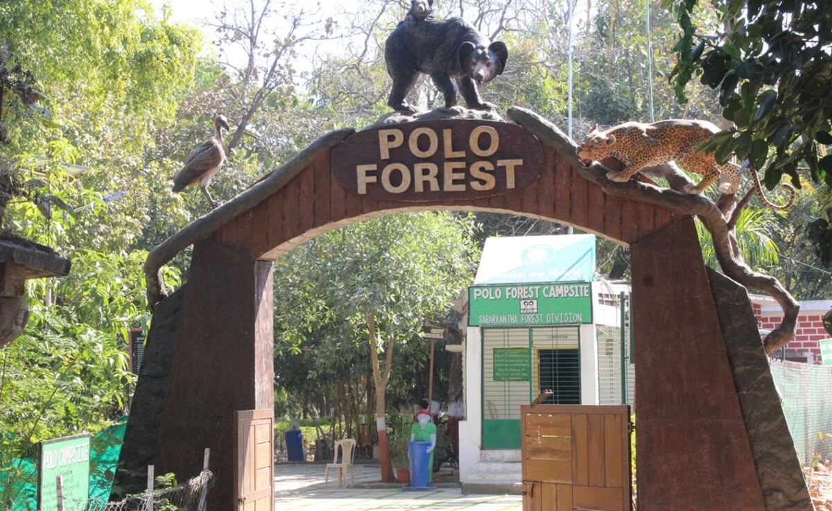 Polo Forest (150 km)