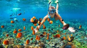 Top 6 Snorkeling & Diving Spots in Andaman (2025 Guide)