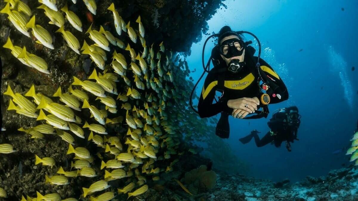 Best Snorkeling and Diving Spots in Andaman