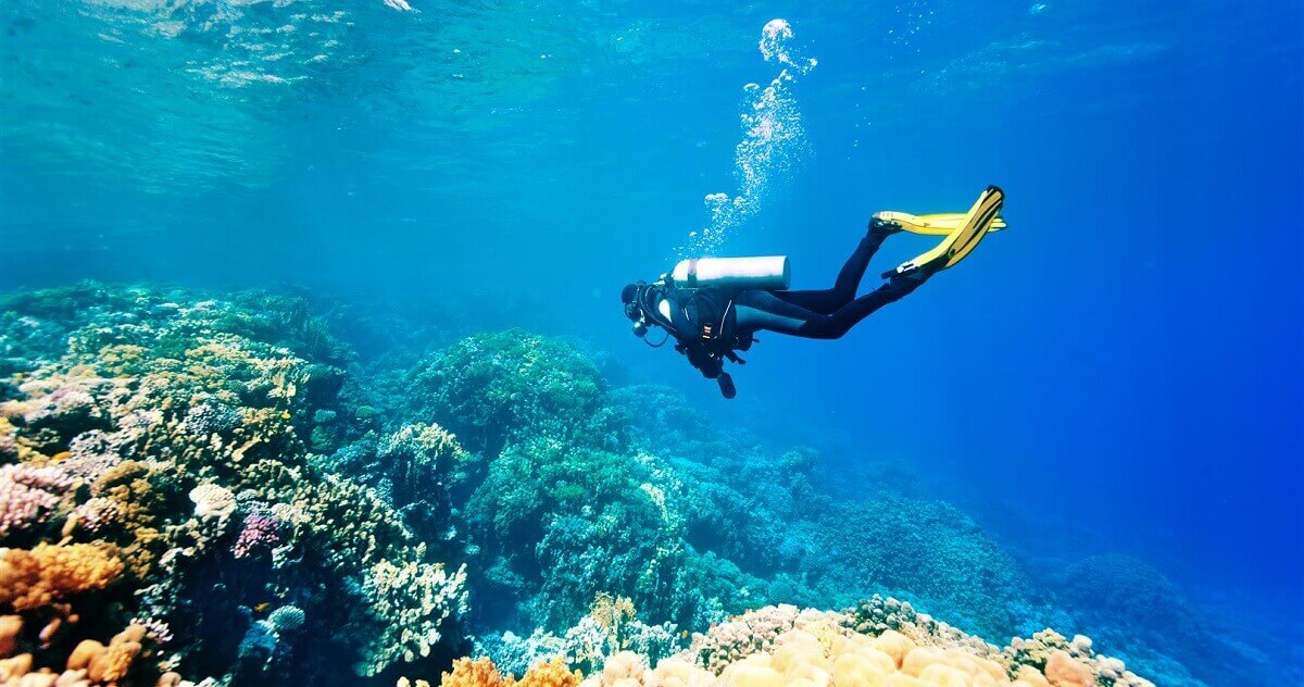 Tips for First-Time Divers and Snorkelers