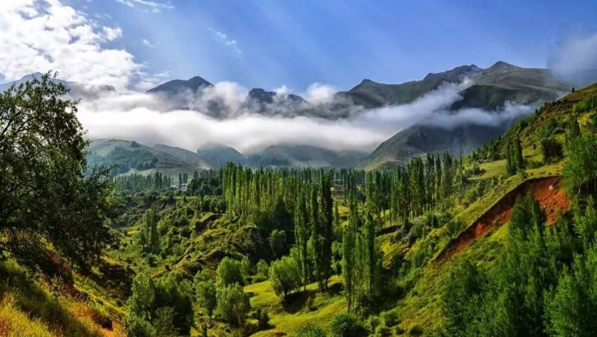 Colonial Heritage and Architecture – Discover Kasauli’s Historic Soul