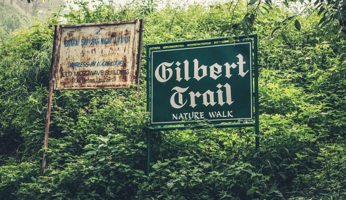 Top Things to Do in Kasauli in December