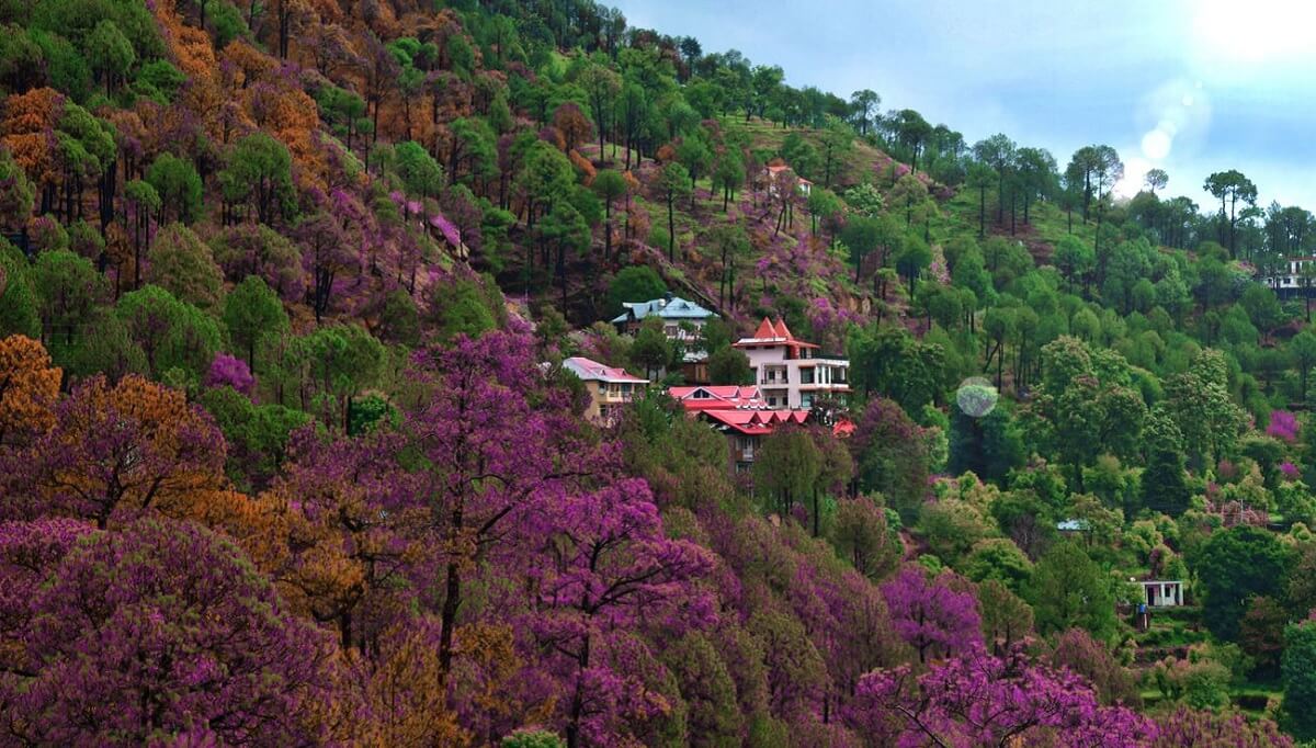 Why Visit Himachal in June?