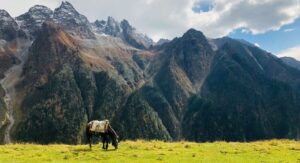 Kinnaur in Summer: Apple Orchards & Scenic Villages – A Complete Travel Guide (2025)