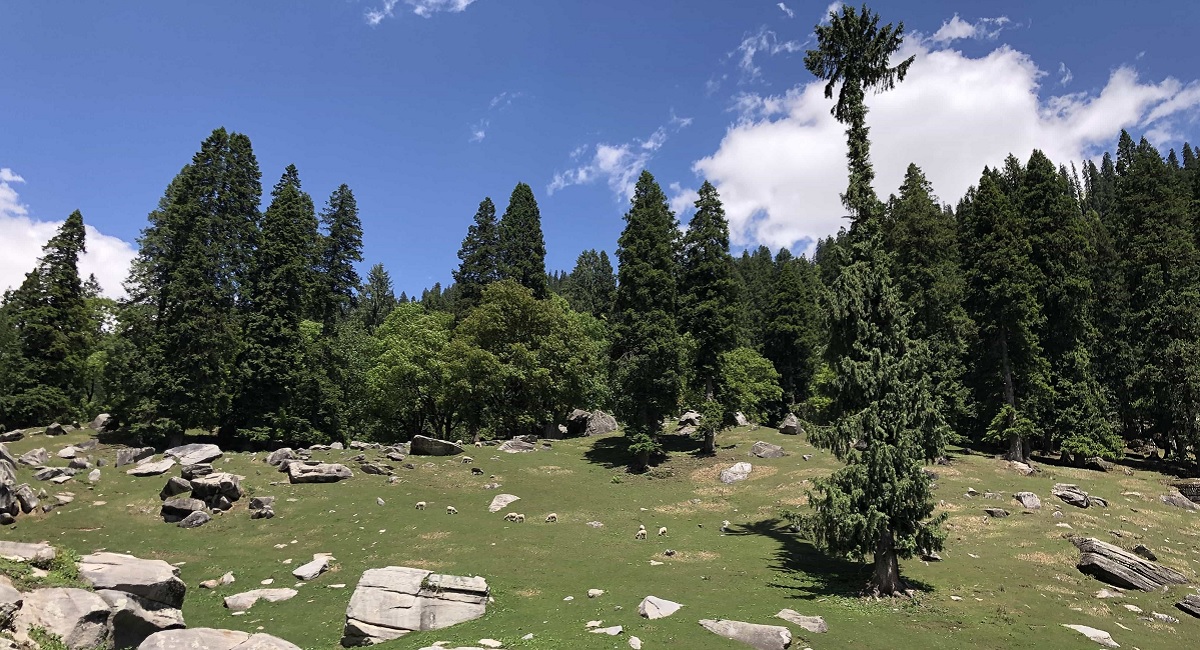 Pro Tips from Personal Experience