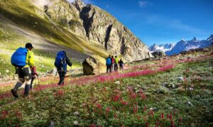 Top Summer Treks and Hill Escapes in Himachal