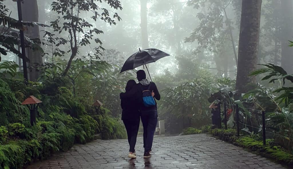 Romantic Monsoon Getaways for Couples in India (2025): Best Destinations & Tips