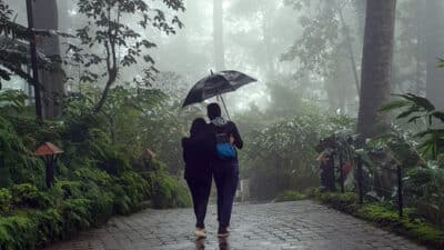 Romantic Monsoon Getaways for Couples in India (2025): Best Destinations & Tips