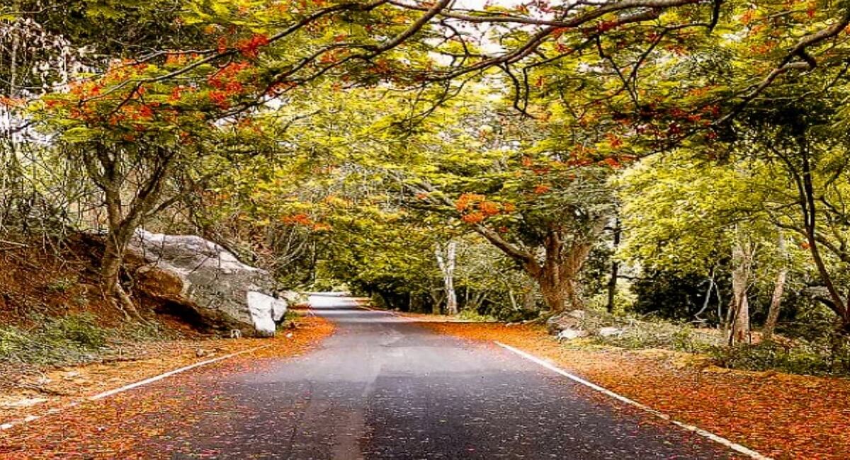 When’s the Best Time to Visit Horsley Hills?