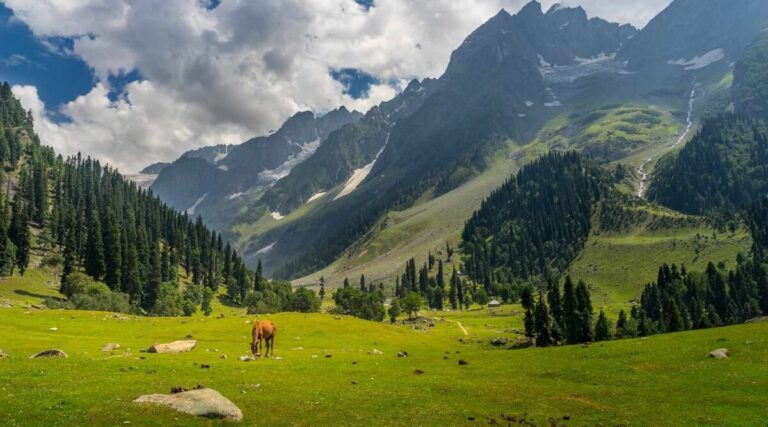 Top 10 Best Places to Visit in June in India – 2025 Travel Guide