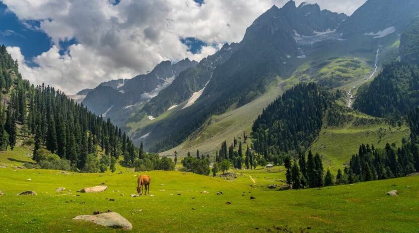 Top 10 Best Places to Visit in June in India – 2025 Travel Guide