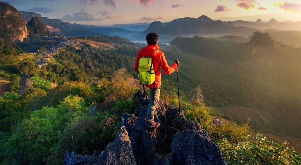 Best Time to Visit Chikmagalur: Your Complete Seasonal Guide to Karnataka's Coffee Paradise