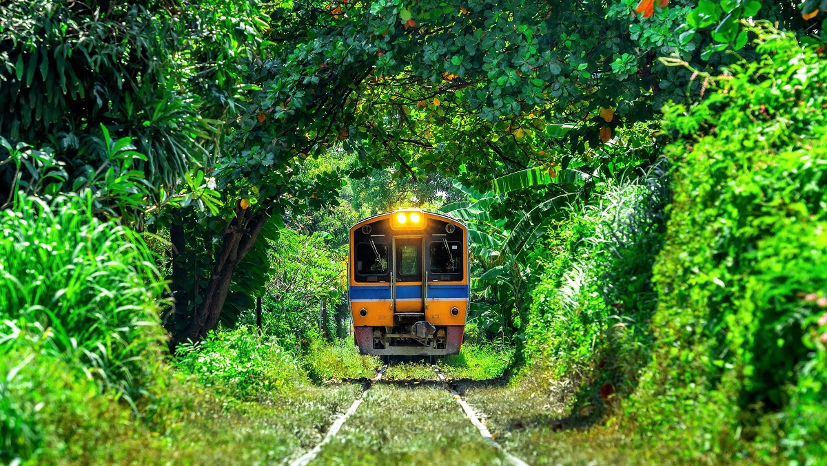 Special Considerations for Different Types of Travelers