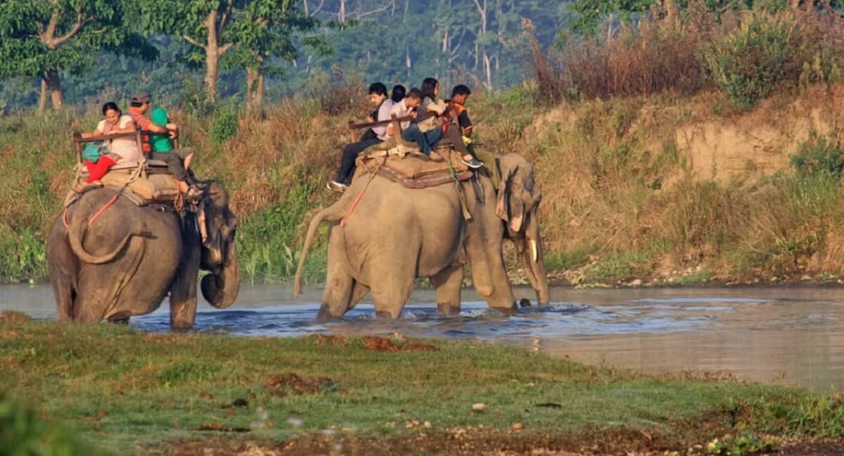 Suggested Itinerary: Bangalore to Kabini (2-Night Stay)