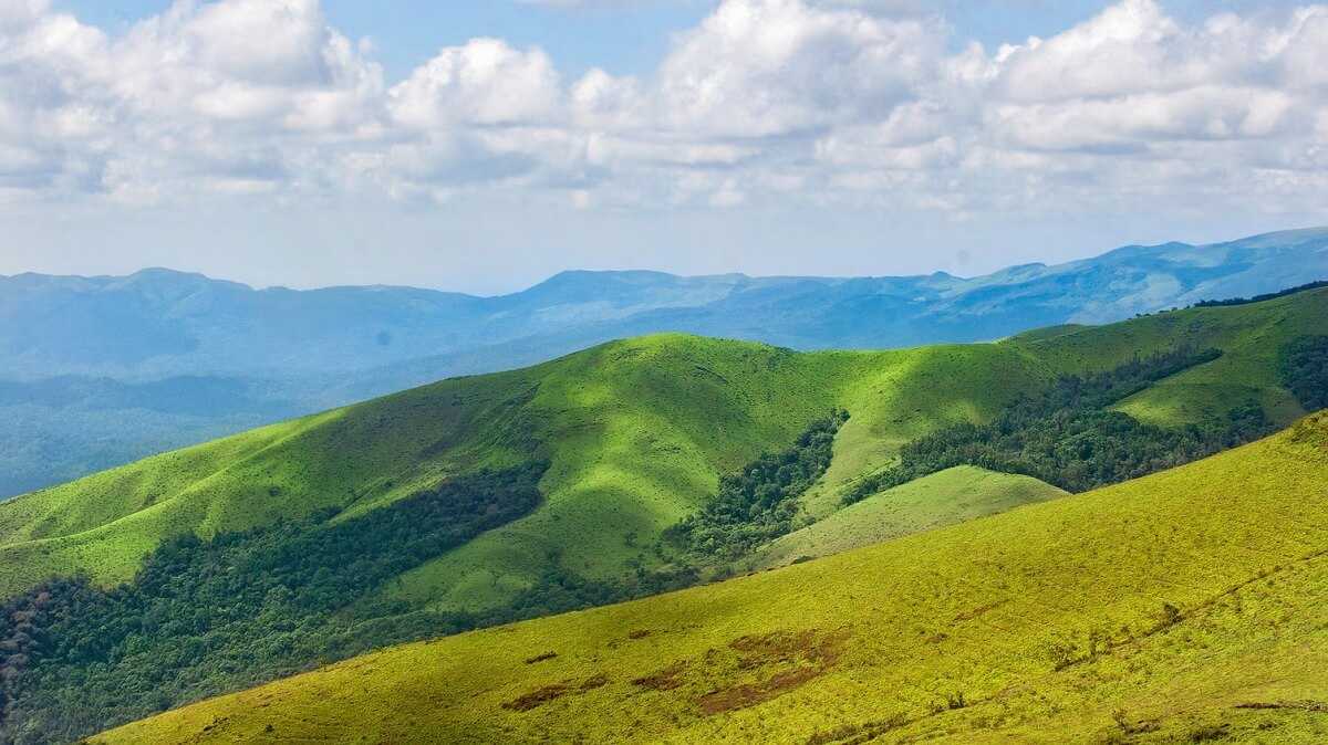 Pleasant Hill Station Escape (March to May)