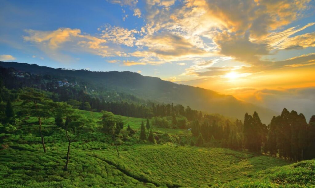 Top 10 Hill Stations Near Kolkata to Visit During Summer (2025 Guide)