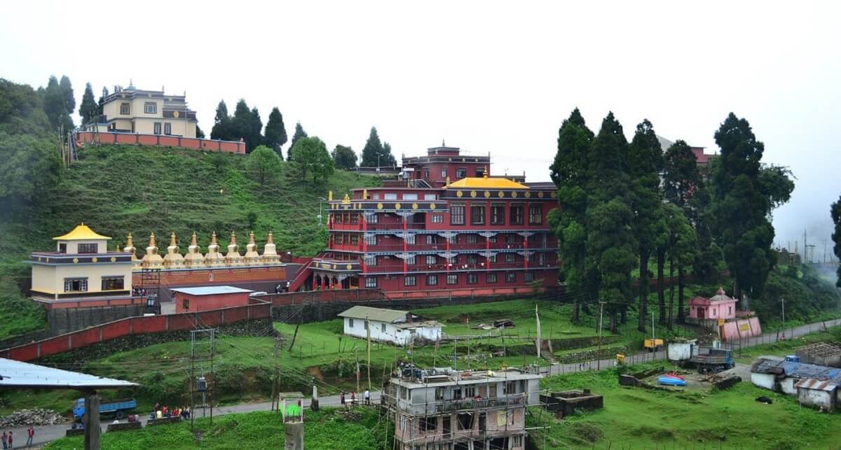 Lava – Offbeat and Forest-Fresh