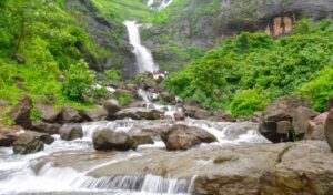 Waterfalls Near Mumbai Worth a Weekend Drive: A Nature Lover’s Guide (2025)