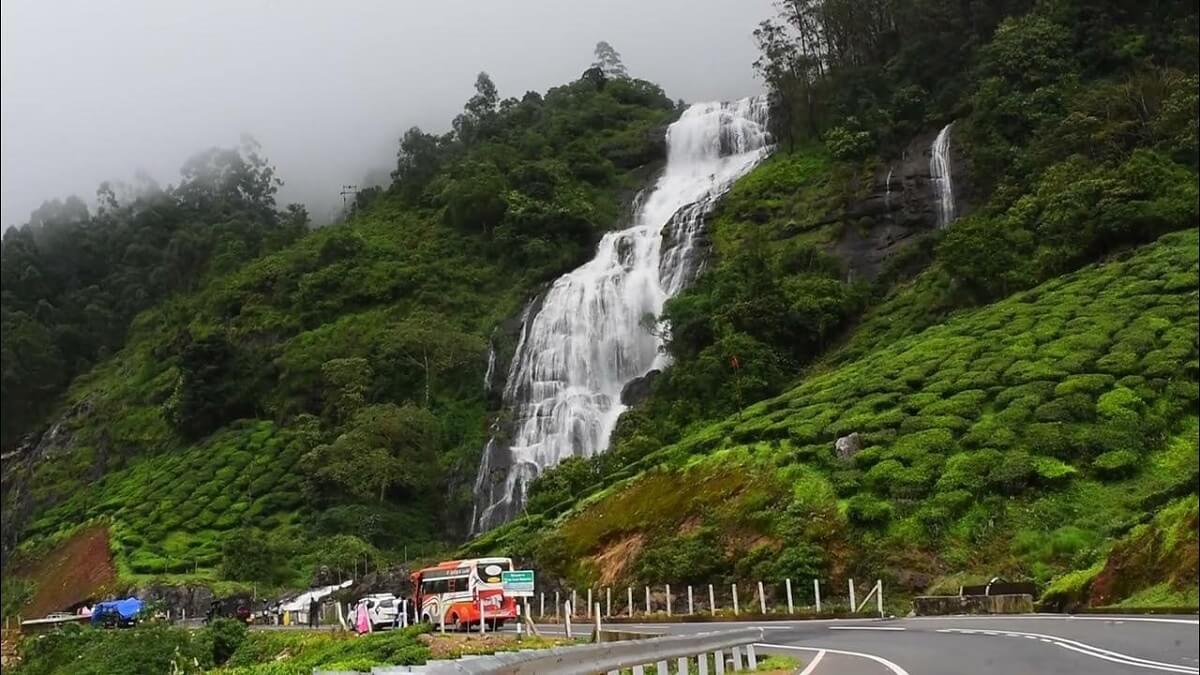 Top 12 Attractions and Activities in Munnar in June