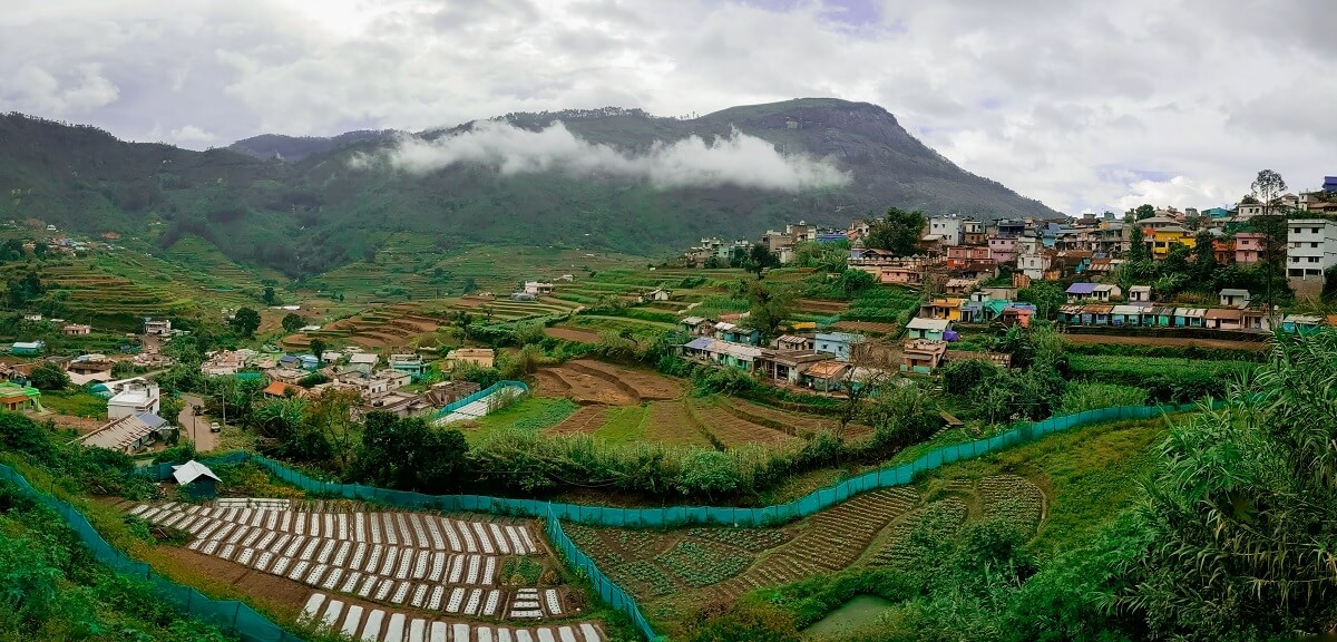 Munnar- South India in June